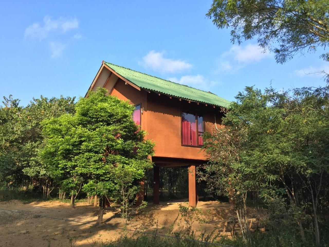 הבאראנה Sky Forest מראה חיצוני תמונה