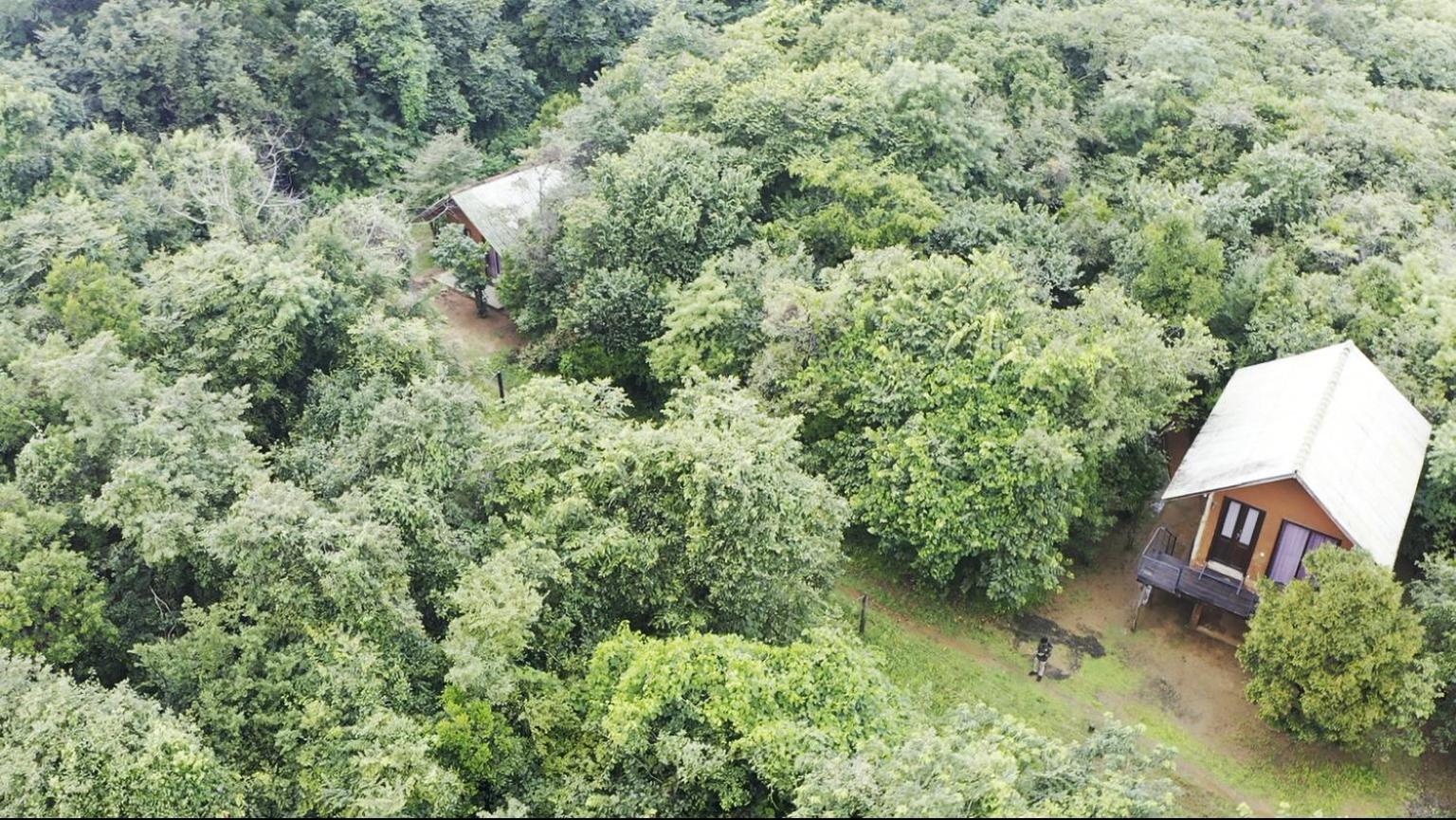 הבאראנה Sky Forest מראה חיצוני תמונה