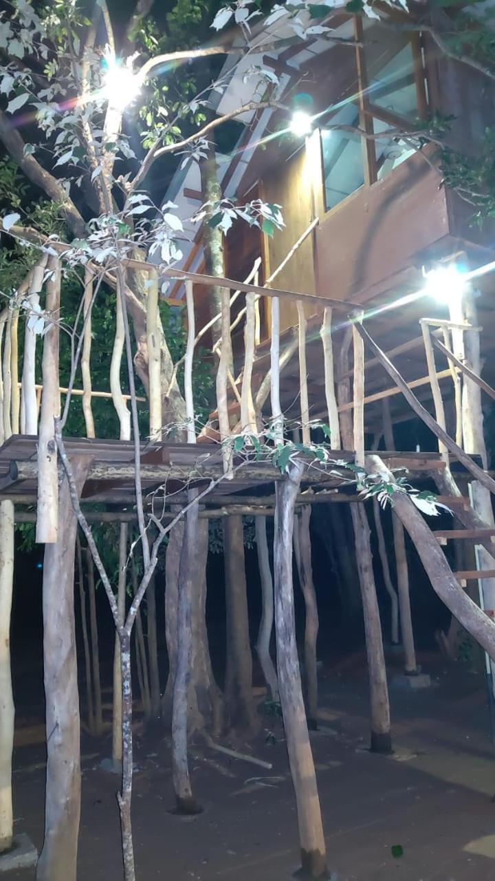 הבאראנה Sky Forest מראה חיצוני תמונה