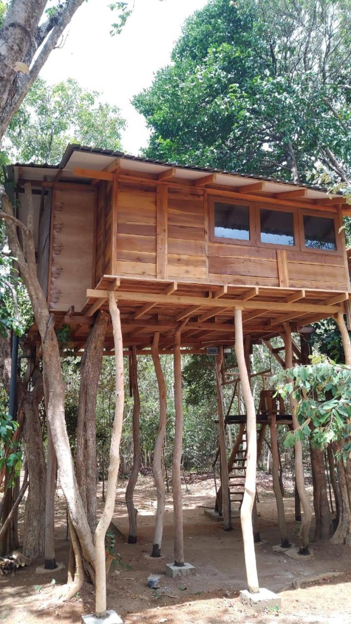 הבאראנה Sky Forest מראה חיצוני תמונה