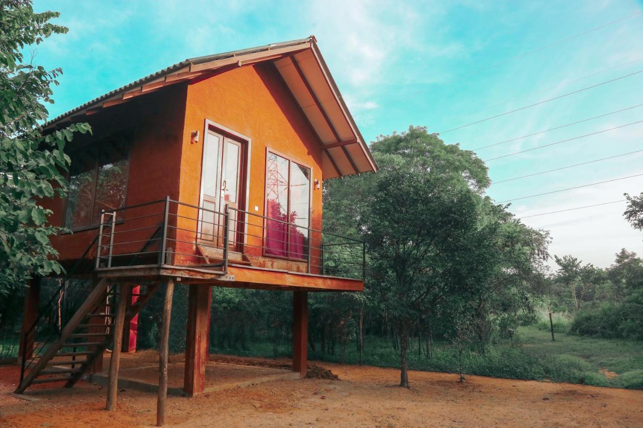 הבאראנה Sky Forest מראה חיצוני תמונה