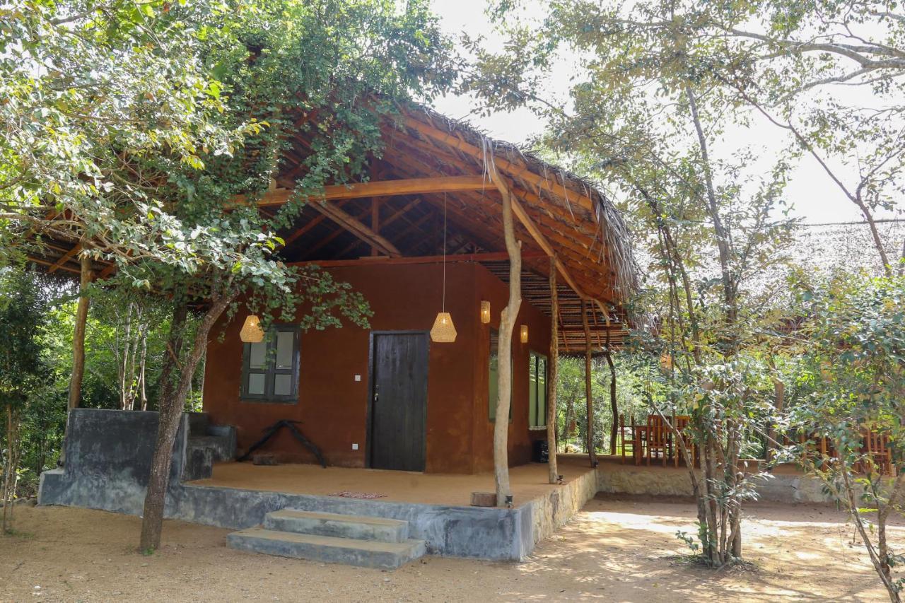 הבאראנה Sky Forest מראה חיצוני תמונה